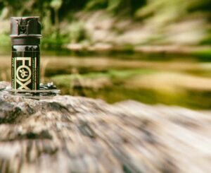 Fox Labs Hintergrundbild